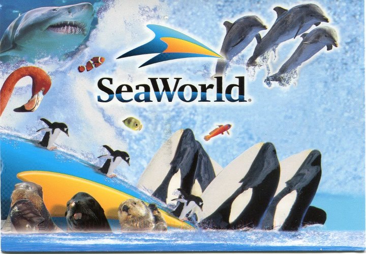 Entradas: Parque Sea World