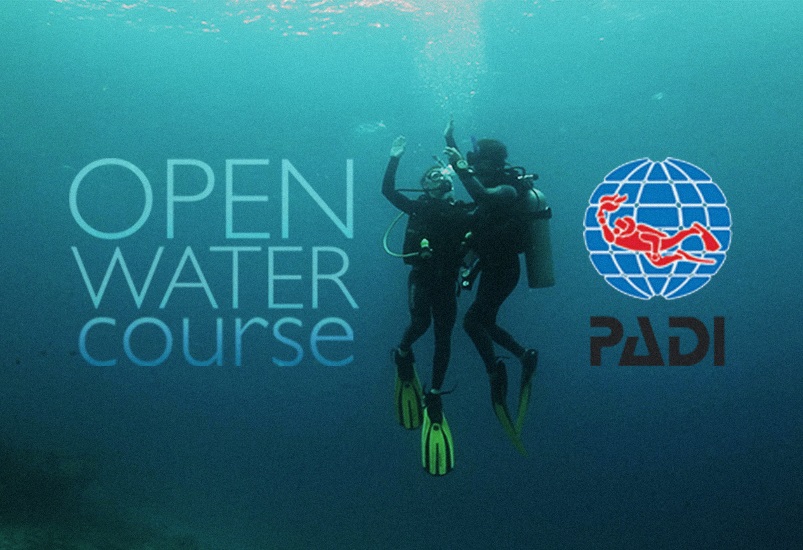 Levantado - Curso de buceo PADI Honeymoon Special